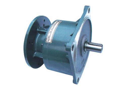 立式直結(jié)型齒輪減速機(jī)